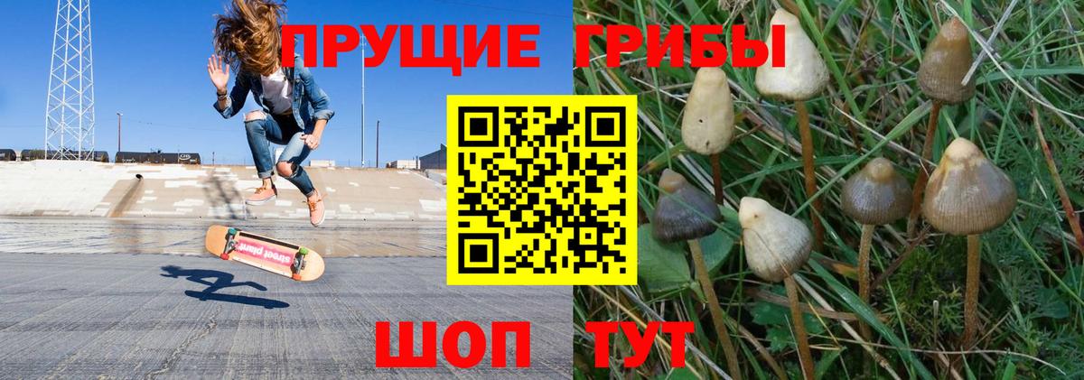 Новокузнецк  Псилоцибиновые грибы MAGIC MUSHROOMS  Вход с VPN  Псилоцибиновые грибы Psilocybine cubensis 
